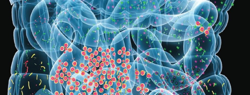 The Human Microbiome: Why You Need Pre- and Probiotics For Optimal Gut Wellness
