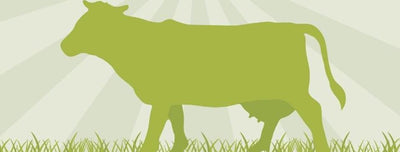 Why Grass-Fed Beef Is Better for You (Infographic)