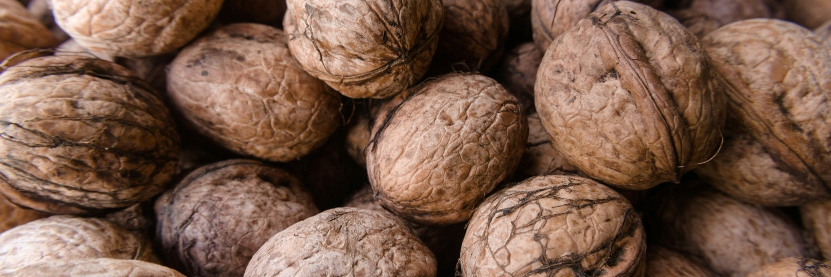 lose up shot of walnuts