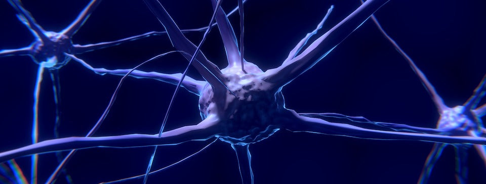 neurofeedback