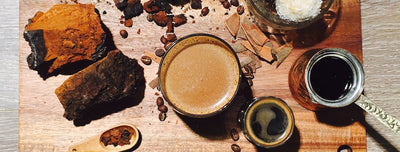 Bulletproof Coffee Wild Chaga Elixir