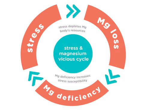 Magnesium Deficiency and Stress