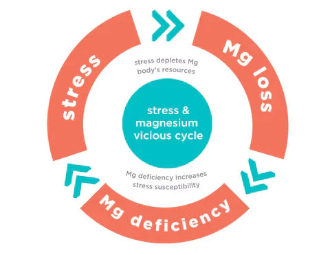 Magnesium Deficiency and Stress