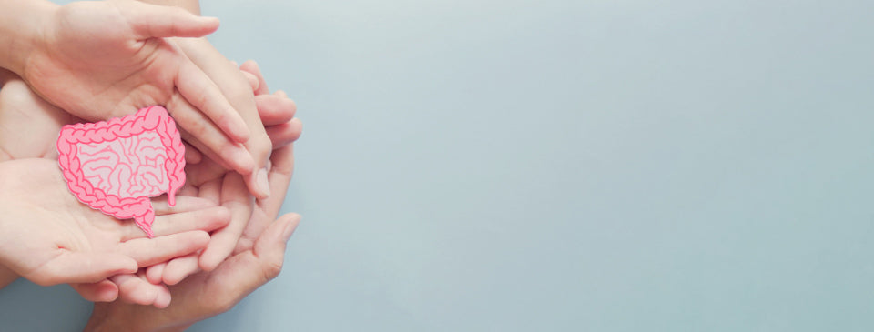 Biohacking Weekly: Fixing Leaky Gut & Leaky Brain, Benefits of Time-Resticted Eating, Anxiety, Rheumatoid & Alzheimer’s