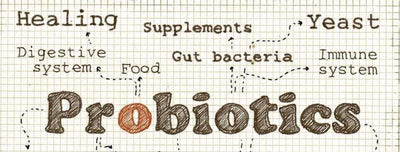 Are Probiotics Beneficial to Human Health?