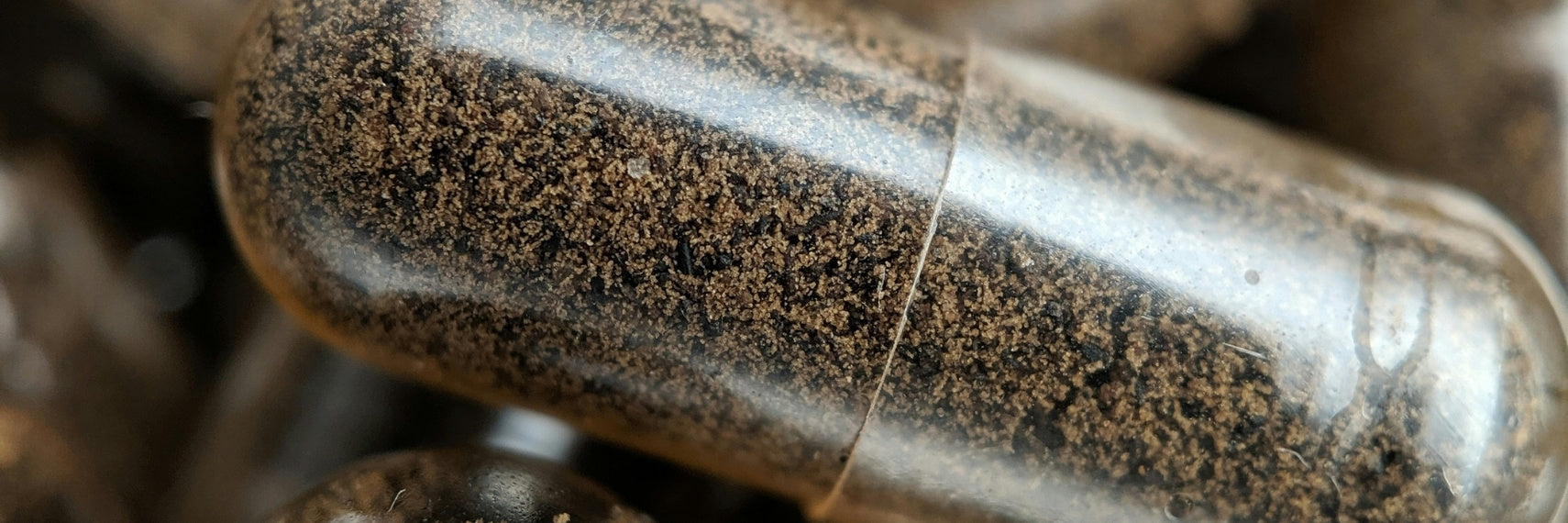 close up shot of health supplement capsule