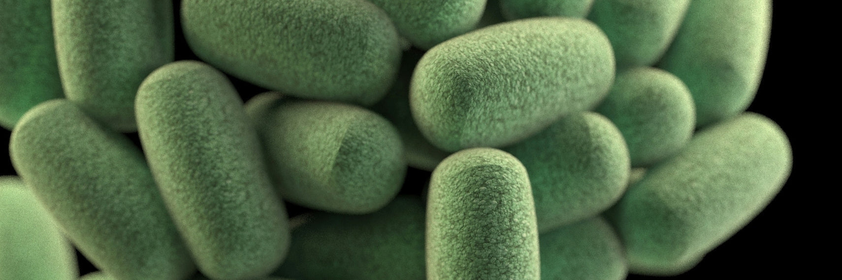 close up render of bacteria