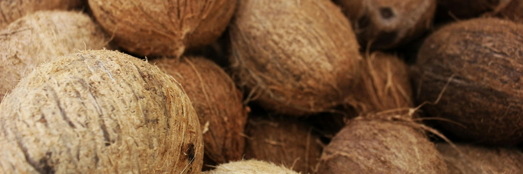 Brown round coconut shells