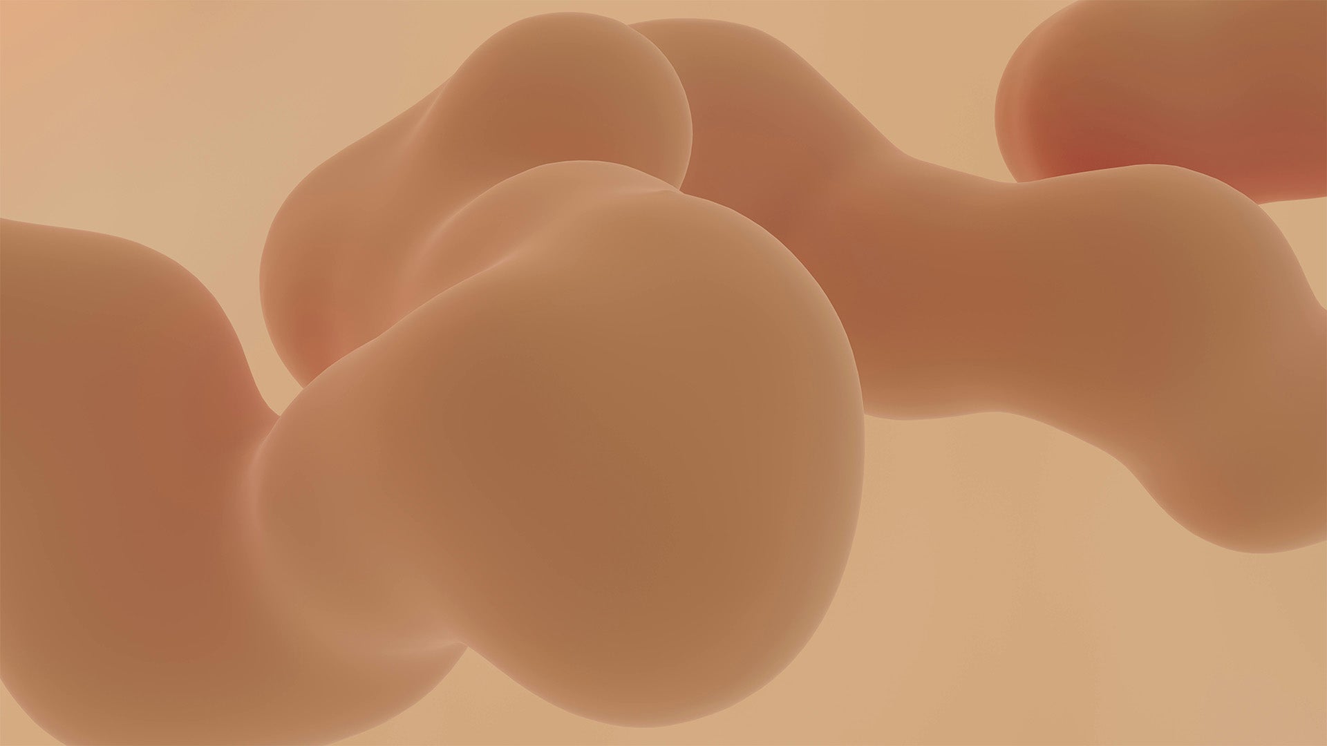 Smooth flowing abstract 3D shape