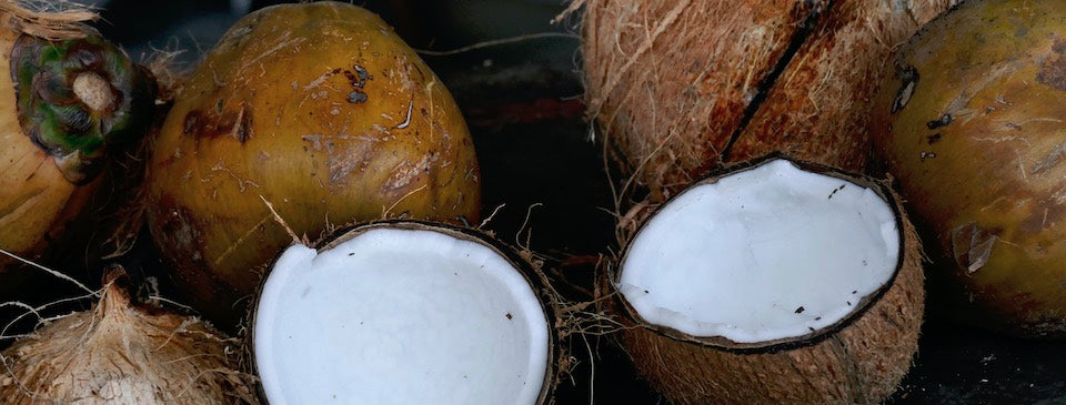 coconut oil