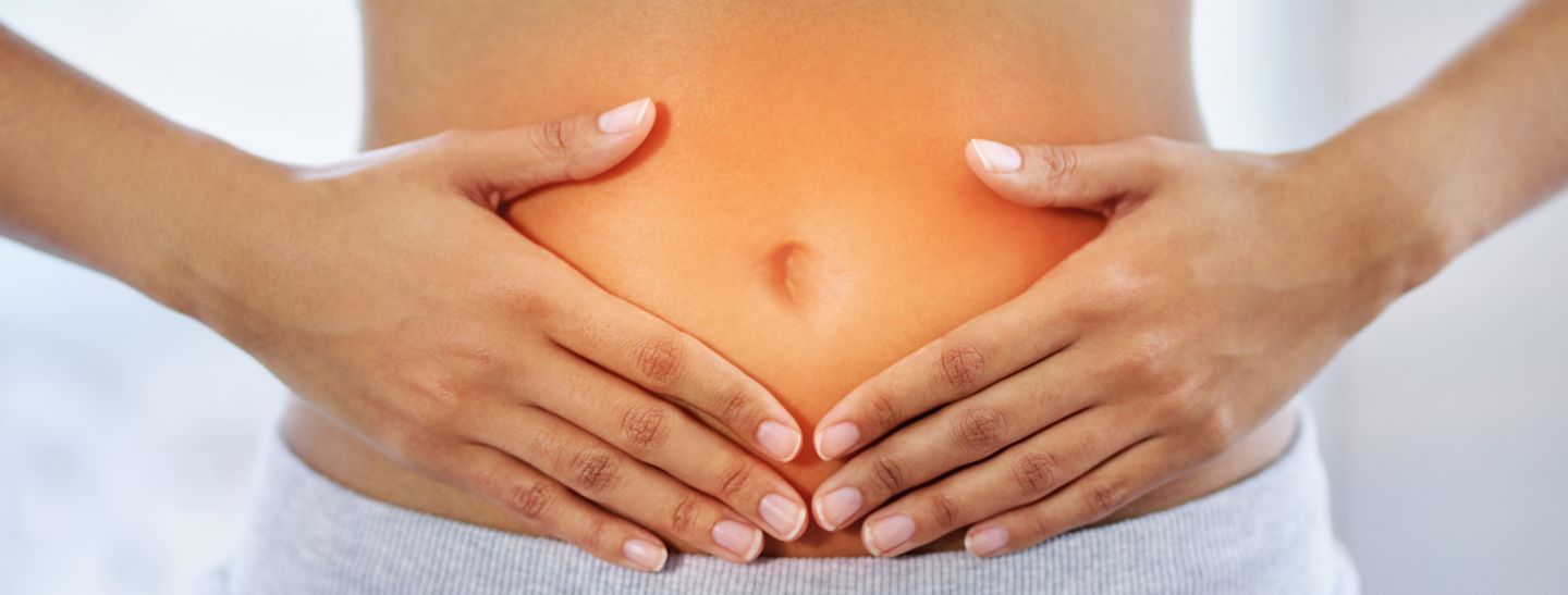gut reset protocol
