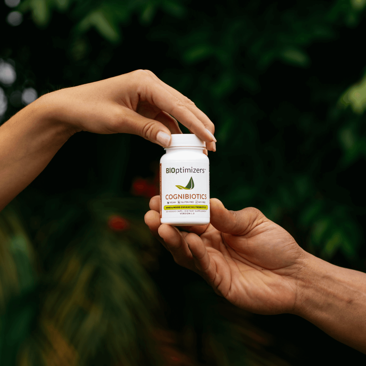 Mood enhancing probiotics - BIOptimizers Australia