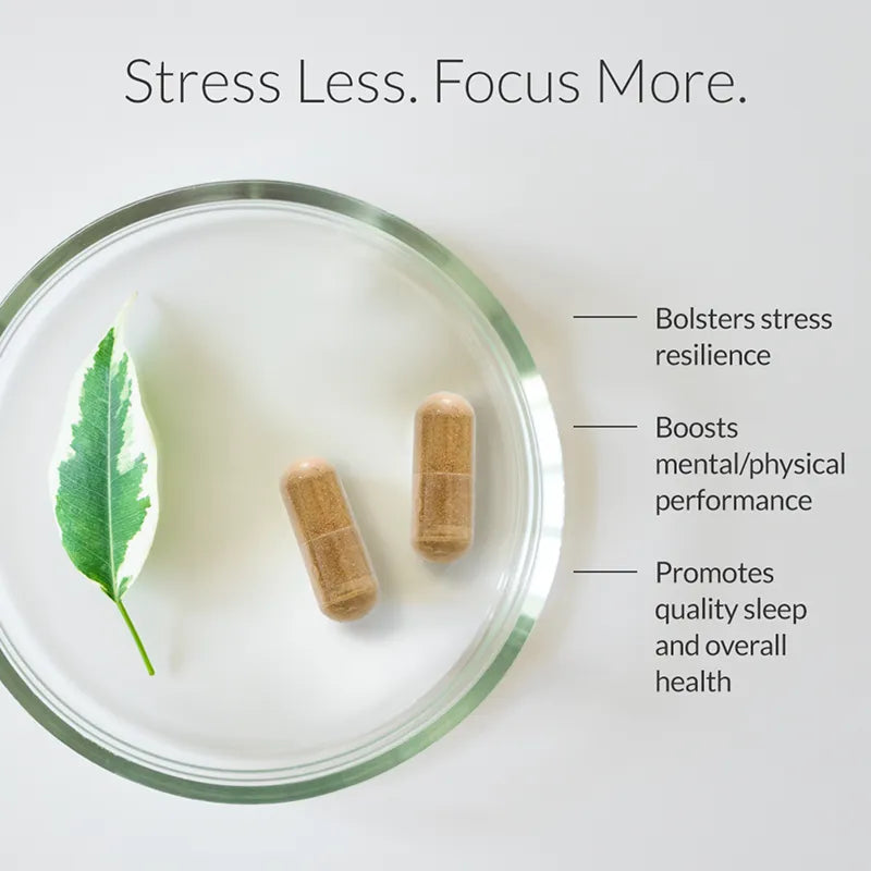 Stress management capsules - Stress Breakthrough by BIOptimizers