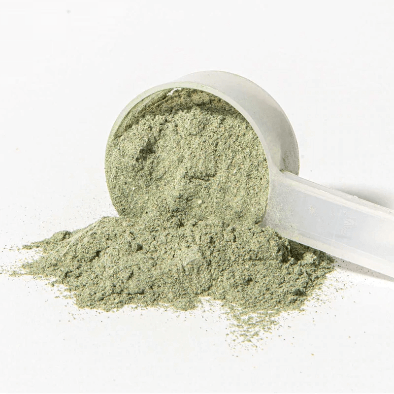 BulletproofAustraliaGreensPowder2_d9e4867c-3275-47aa-b4ba-d106d13be040.png