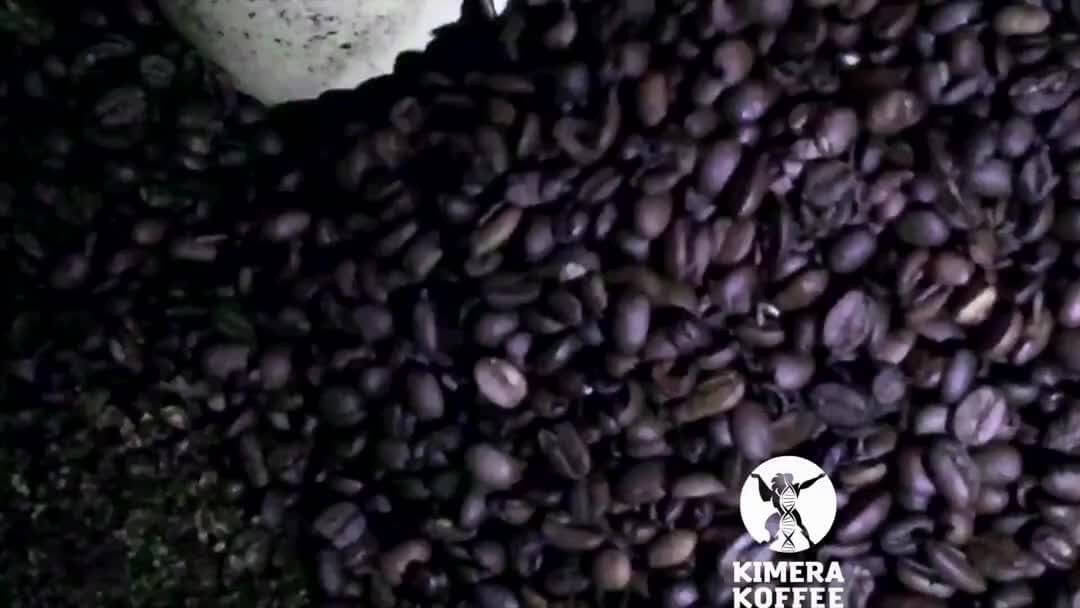 Kimera_Koffee_37bd64f9-c80e-4d54-baad-d707532d8f96.jpg