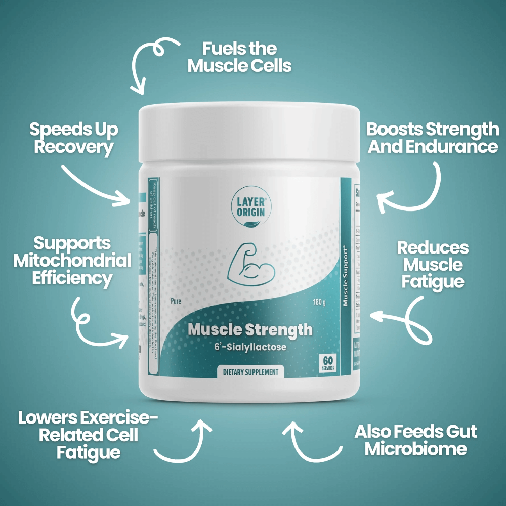 Layer Origin Australia Muscle Strength Benefits