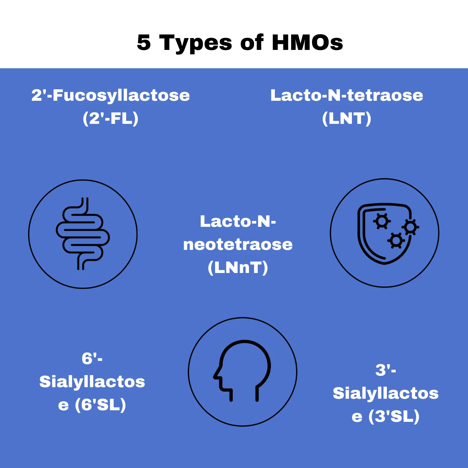 LayerOriginSuperHMOAustraliaPrebioticMixwith5HMOsTypesofHMOs.png
