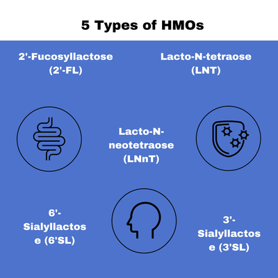 LayerOriginSuperHMOAustraliaPrebioticMixwith5HMOsTypesofHMOs.png