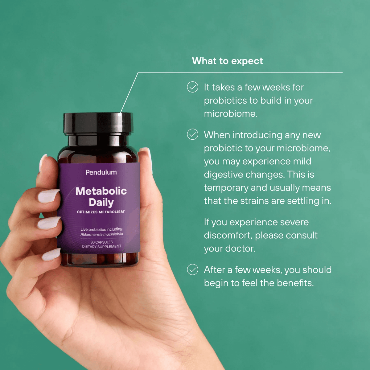 Pendulum Melbourne Australia Metabolic Daily