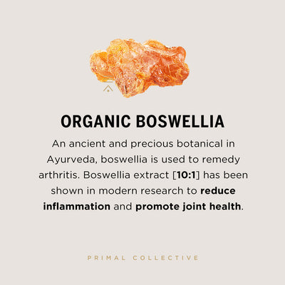 Primal-Collective-Australia-Turmeric-Plus-Boswellia-Squ-Ingredient-Breakdown-Boswellia-SF.jpg