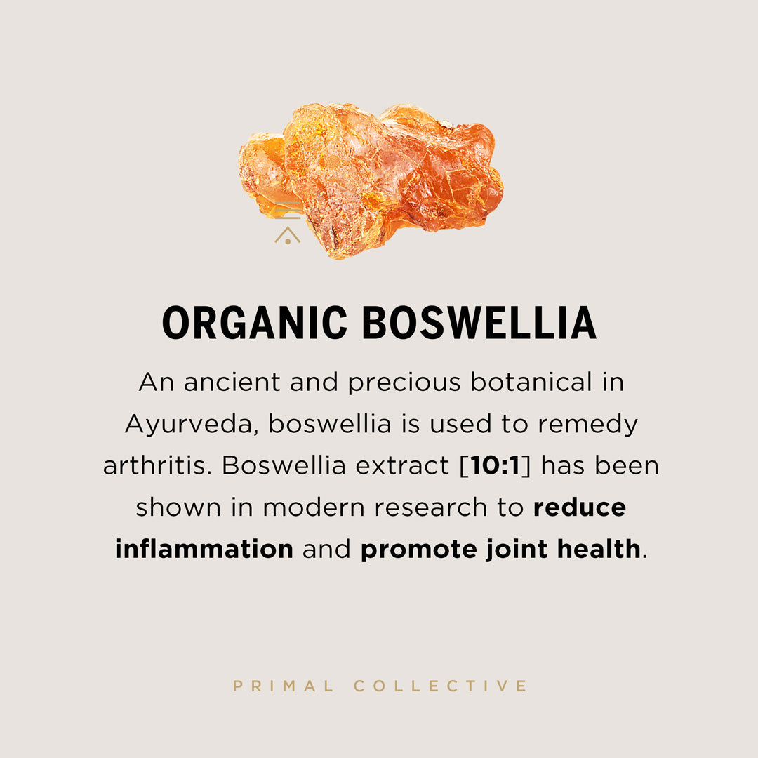 Primal-Collective-Australia-Turmeric-Plus-Boswellia-Squ-Ingredient-Breakdown-Boswellia-SF.jpg