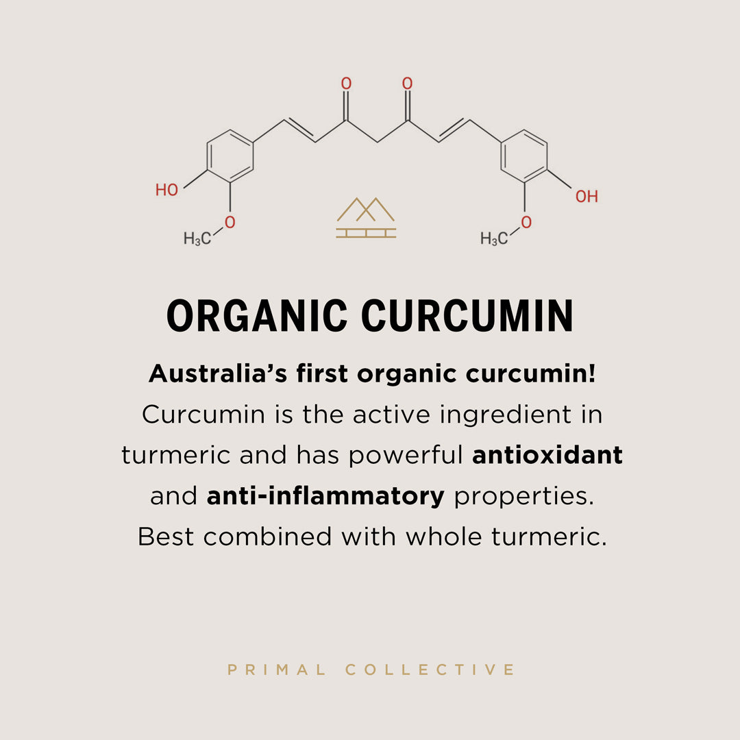 Primal-Collective-Australia-Turmeric-Plus-Boswellia-Squ-Ingredient-Breakdown-Curcumin-SF.jpg