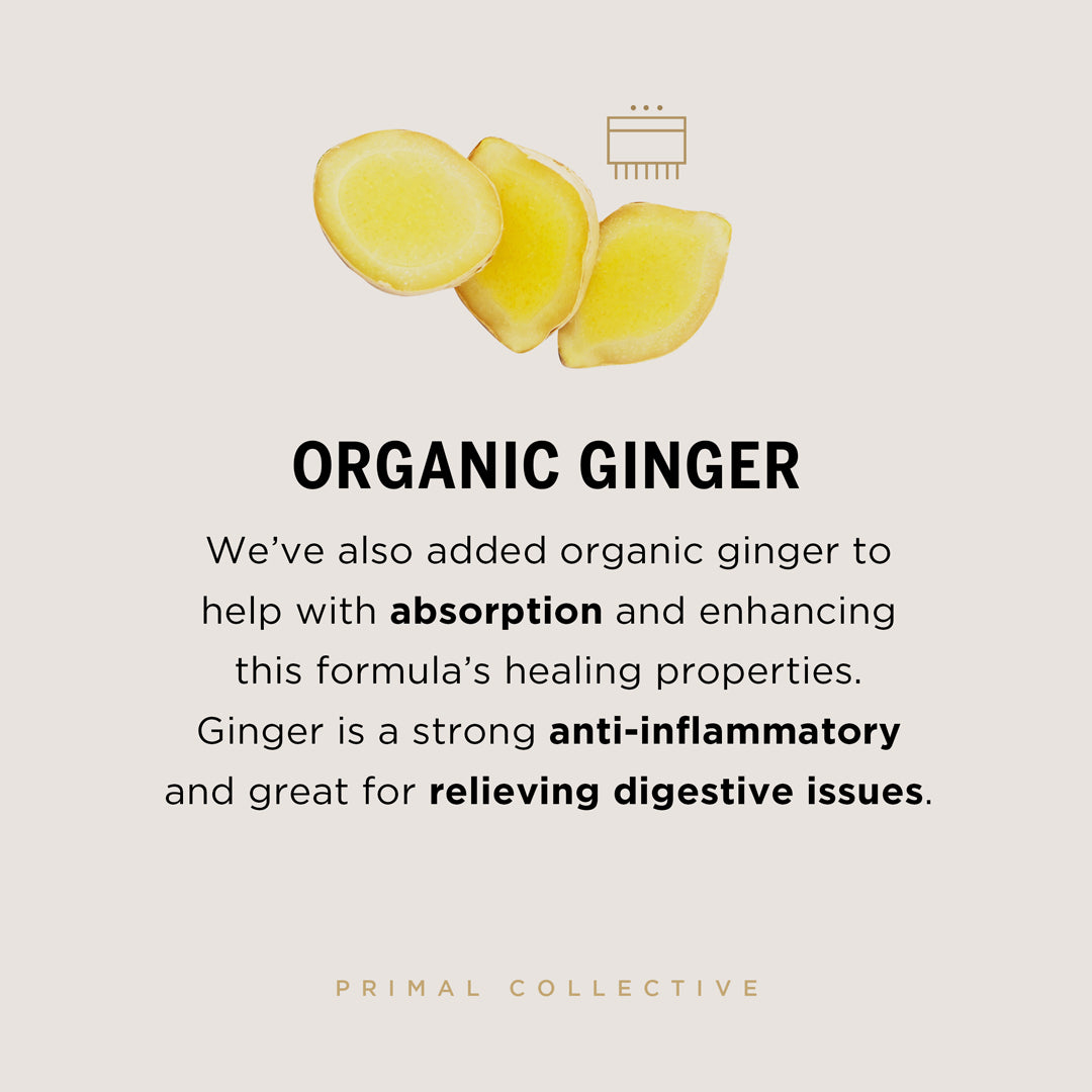 Primal-Collective-Australia-Turmeric-Plus-Boswellia-Squ-Ingredient-Breakdown-Ginger-SF.jpg