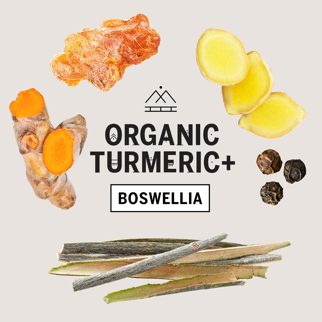 Primal-Collective-Australia-Turmeric-Plus-Boswellia-Squ-Ingredient-Breakdown-Organic-Turmeric-Plus-Intro.jpg
