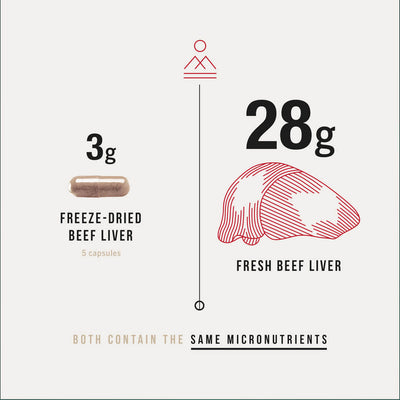 Primal Collective Australia Grass Fed Beef Liver Capsules Micronutrients