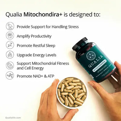 Qualia Mitochondria+ multi-ingredient formulation