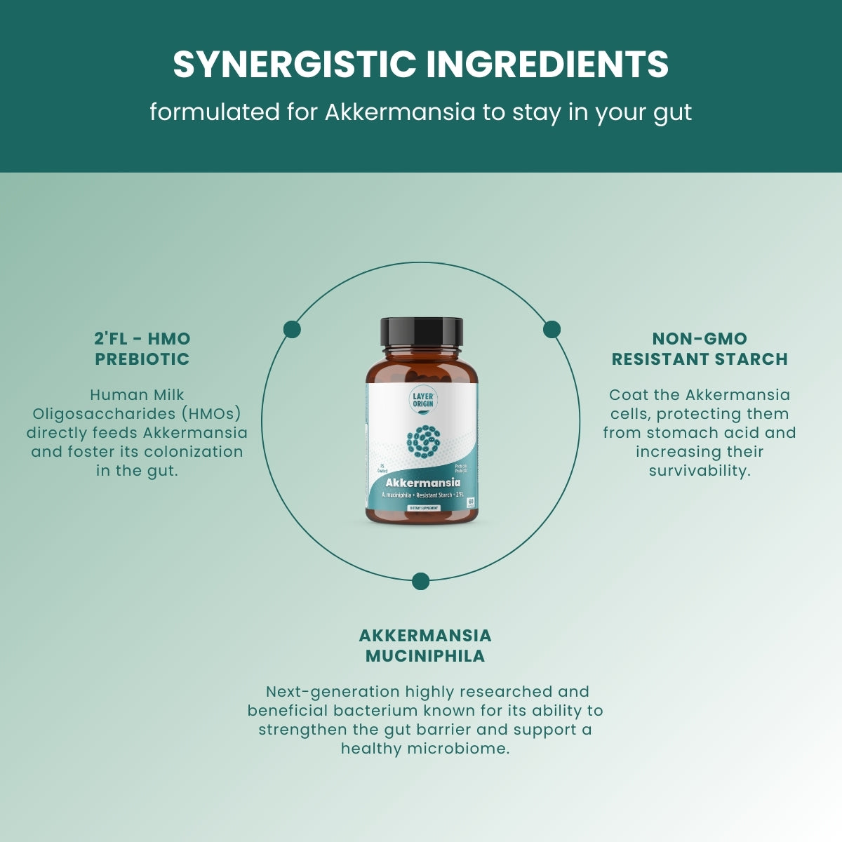 layer-origin-akkermansia-ingredients.jpg