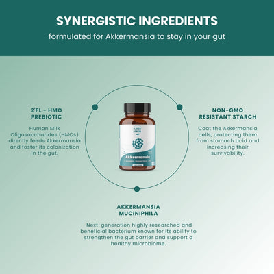layer-origin-akkermansia-ingredients.jpg